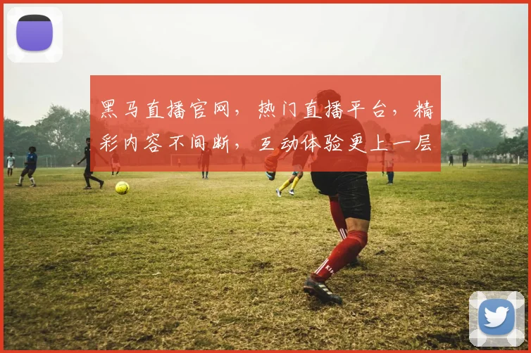 黑马直播官网，热门直播平台，精彩内容不间断，互动体验更上一层楼，不容错过