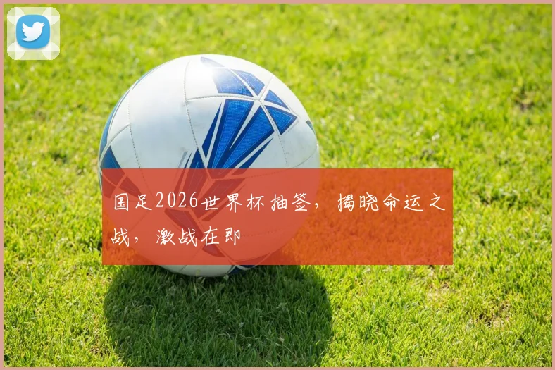 国足2026世界杯抽签，揭晓命运之战，激战在即
