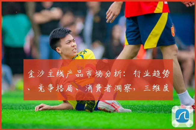 金沙主线产品市场分析：行业趋势、竞争格局、消费者洞察，三维度深度解读