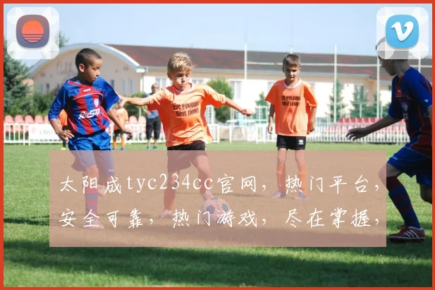 太阳成tyc234cc官网，热门平台，安全可靠，热门游戏，尽在掌握，体验非凡